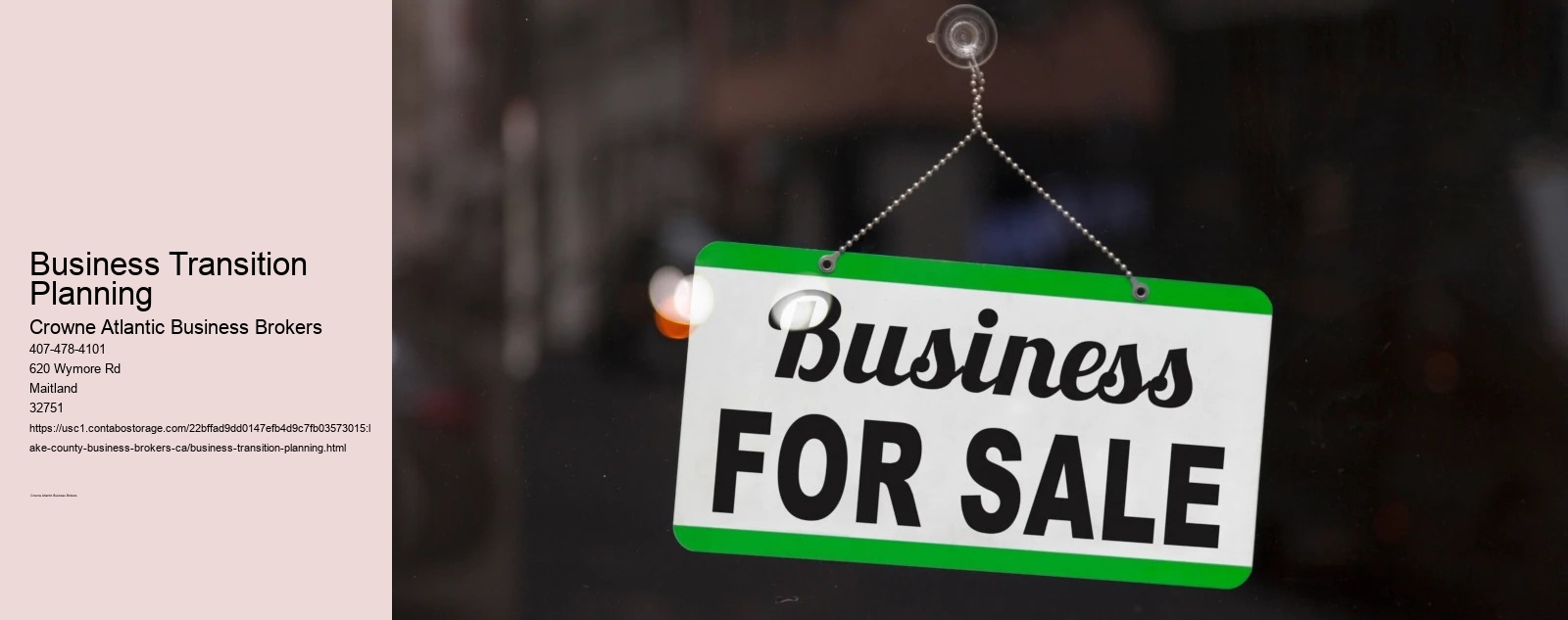 Business Transition Planning