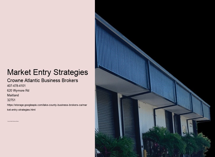 Market Entry Strategies